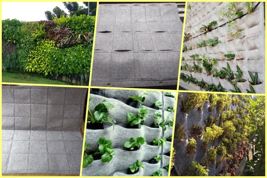 vertical garden murah